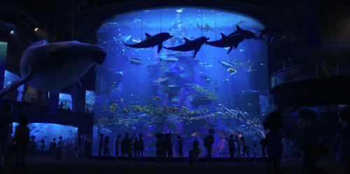 Screen Shot 2016-08-15 at 10.30.59 AM.png